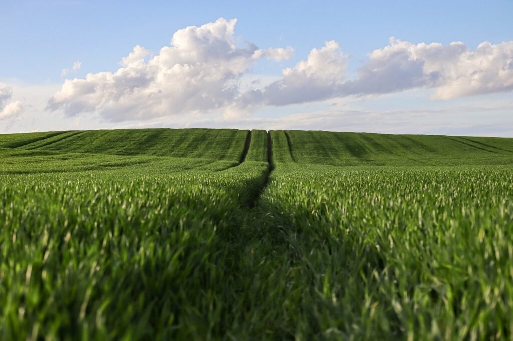 How Do You Choose The Best Equipment For Sustainable Farming? How Do You Choose The Best Equipment For Sustainable Farming?