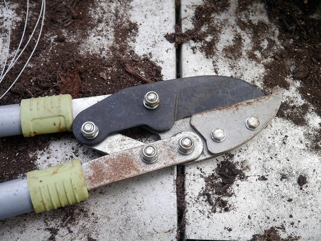 What Tools Do You Need To Start A Small Survival Garden?